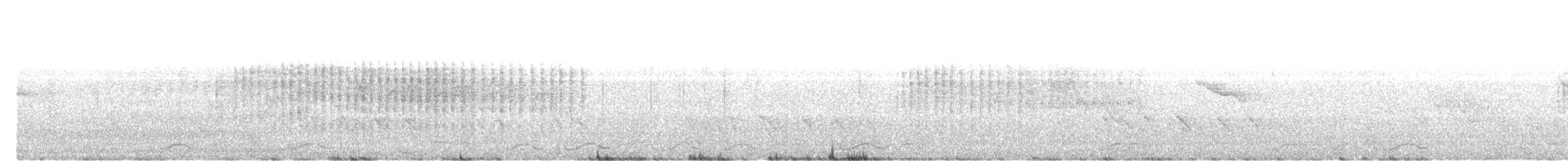 Necklaced Barbet - ML632136898