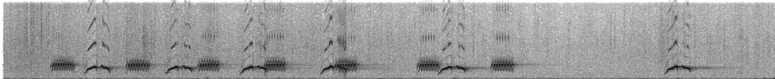 Gray-sided Scimitar-Babbler - ML632137327