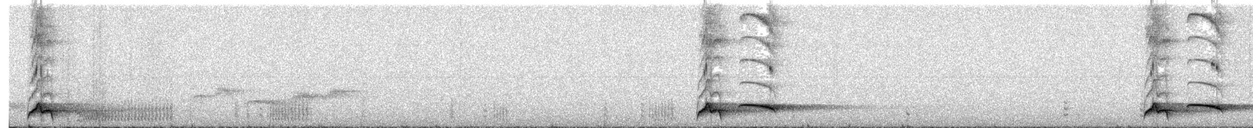 Gray-sided Scimitar-Babbler - ML632137329