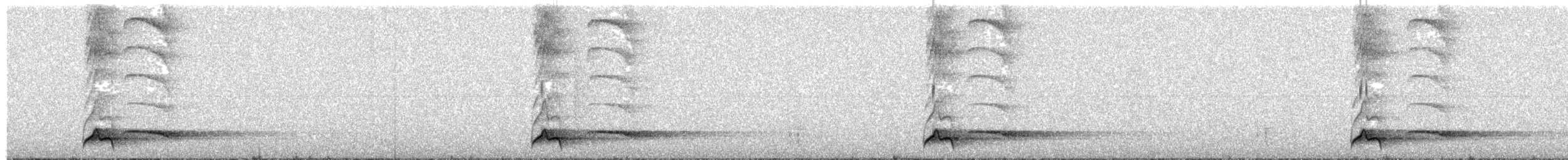 Gray-sided Scimitar-Babbler - ML632137330