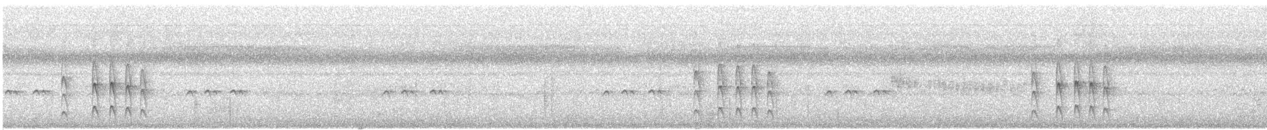 Mouse-colored Tyrannulet (Northern) - ML632139805