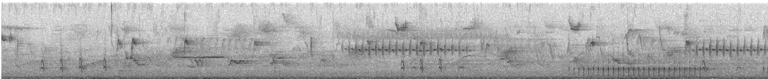 Dark-eyed Junco - ML632142661