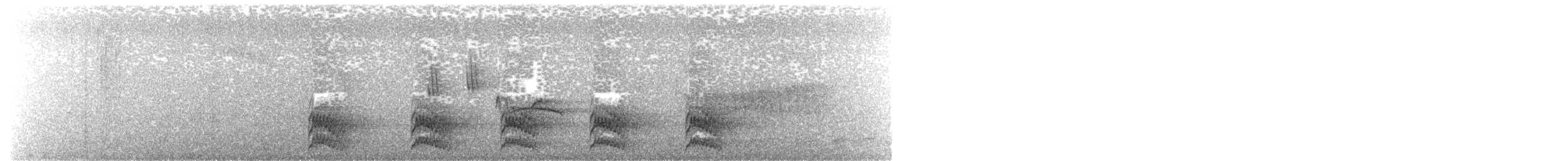 Australian Owlet-nightjar - ML632146122