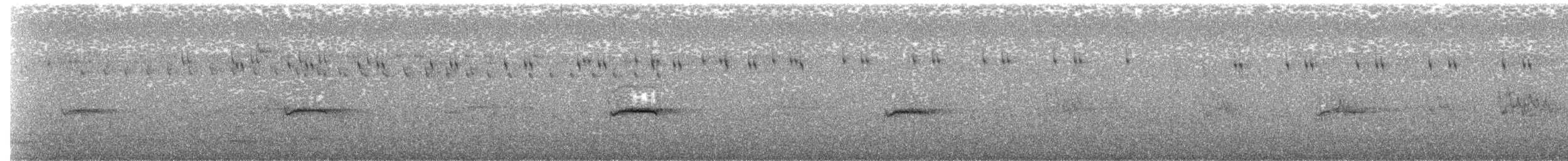 Silvereye - ML632146161