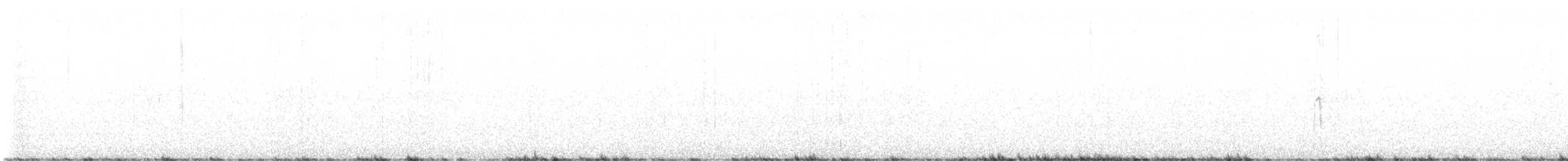 Hairy Woodpecker - ML632154849