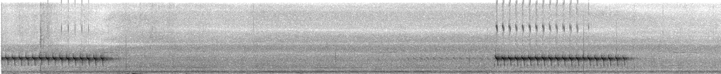 Equatorial Antpitta - ML632165898
