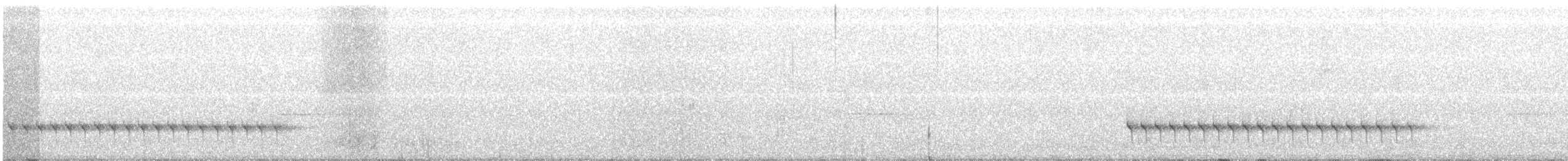 Equatorial Antpitta - ML632165899