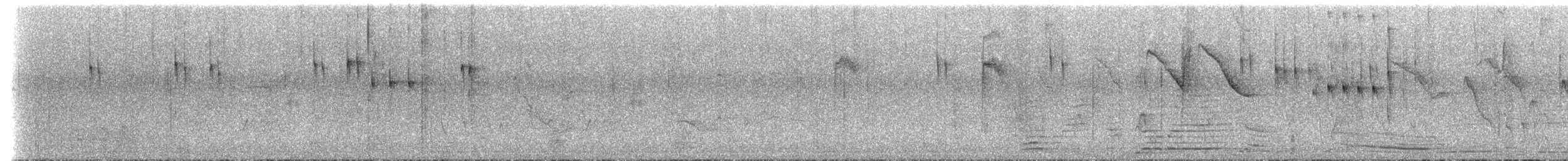 datlíček proužkobřichý - ML632166030