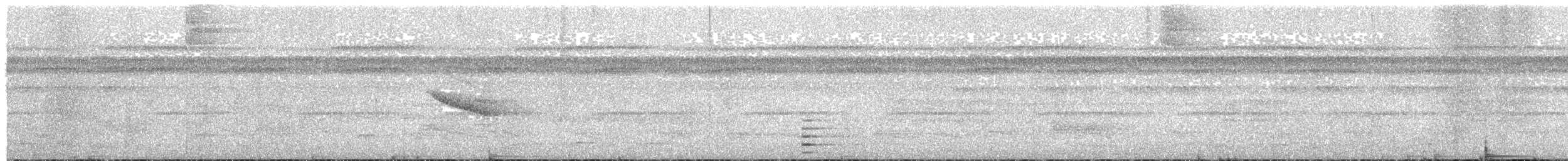 Wire-tailed Manakin - ML632166130