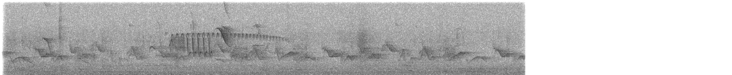 datlíček proužkobřichý - ML632167530