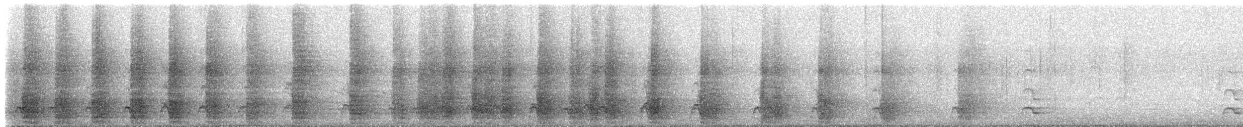 Yungas Guan - ML632167538