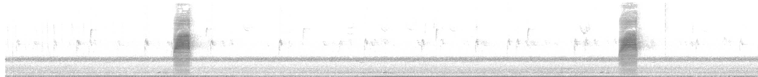 Kanadaschnepfe - ML632167719