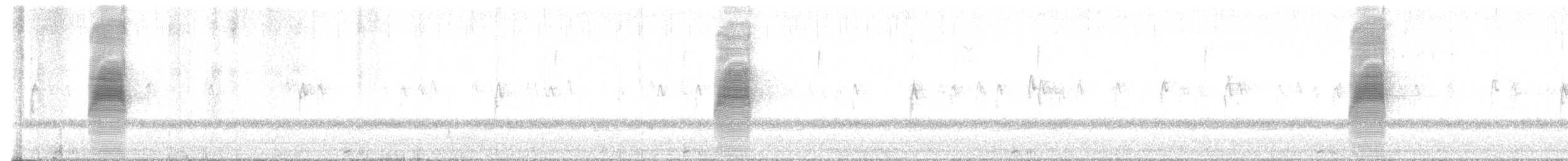 Kanadaschnepfe - ML632168274