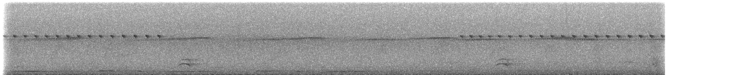 White-necked Thrush - ML632170558