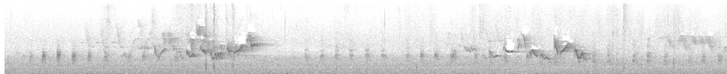 Western Warbling Vireo - ML632174456