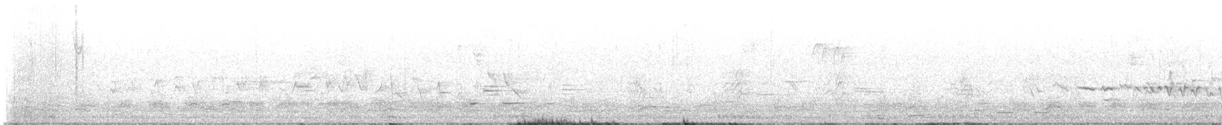 Chingolo Campestre - ML632174883