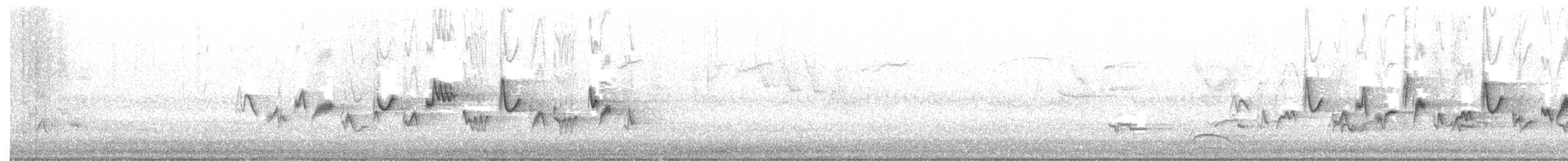Warbling Vireo (Western) - ML632175763