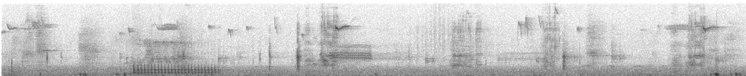 Hairy Woodpecker - ML632188461