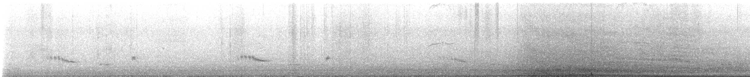 Psophode à menton noir - ML632188519