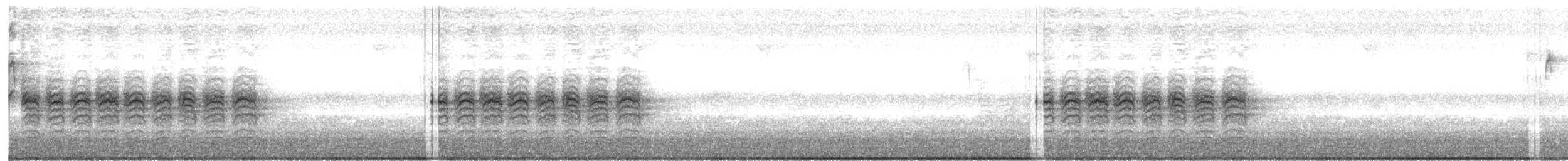 Carolina Chickadee - ML632189788