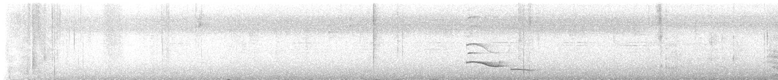 Long-tailed Manakin - ML632195772