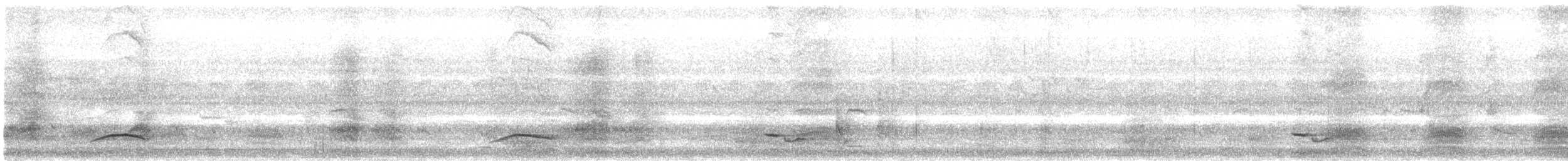 drongo šedobřichý - ML632198982