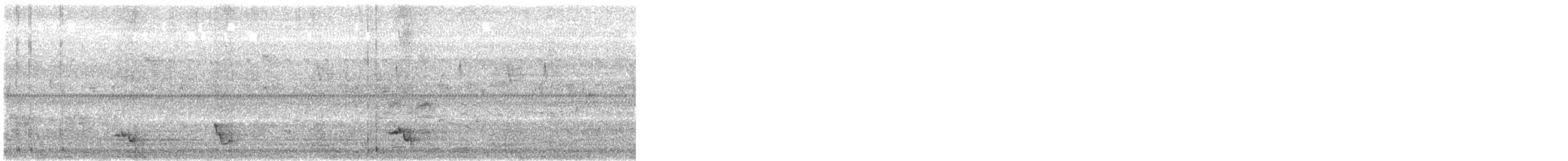 drongo šedobřichý - ML632198983