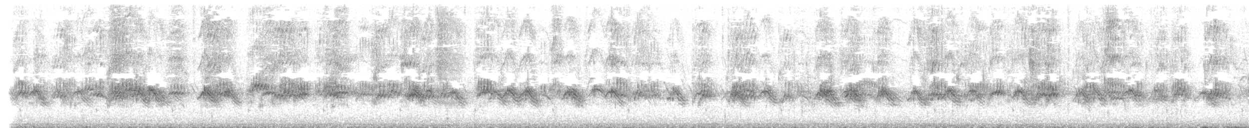 dlask žlutočelý - ML632200830