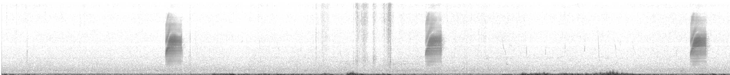 American Woodcock - ML632208406