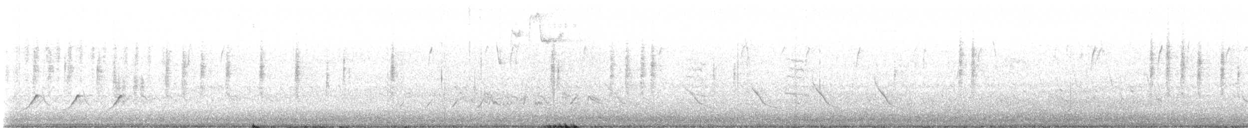 Reyezuelo Rubí - ML632209340