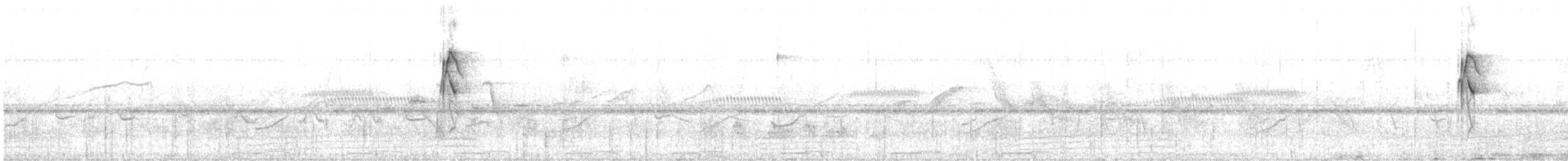 Double-collared Seedeater - ML632209769