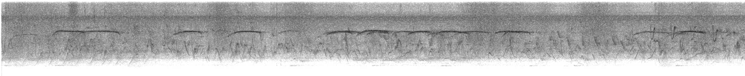 Ampelis Americano - ML632212989