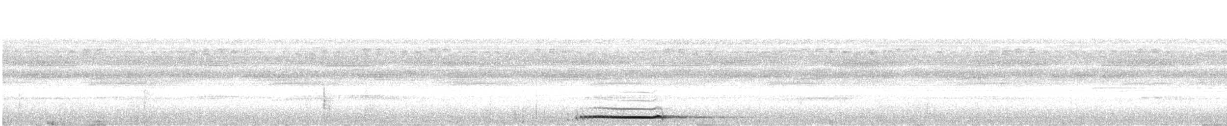 Puntarenas Screech-Owl (undescribed form) - ML632214487