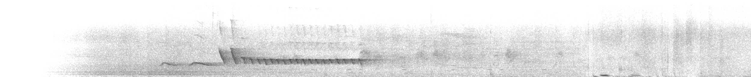 Téphrodorne bridé - ML632220938