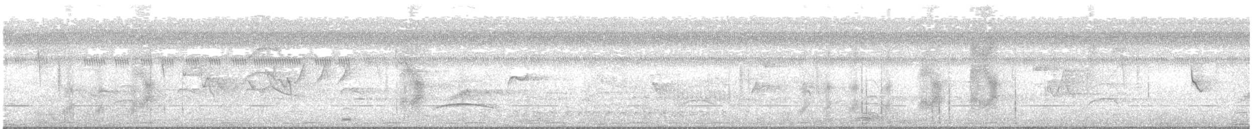 Masked Tityra - ML632221861
