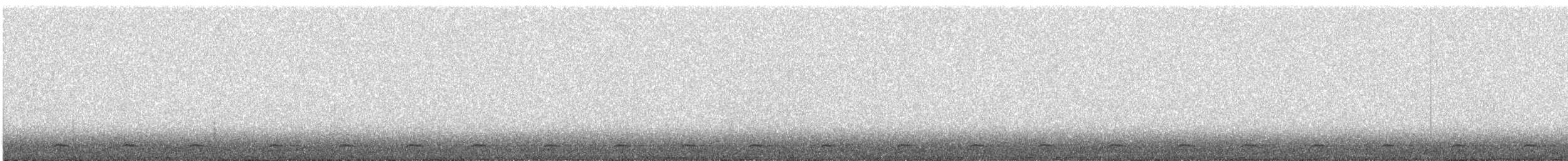 Northern Saw-whet Owl - ML632221942