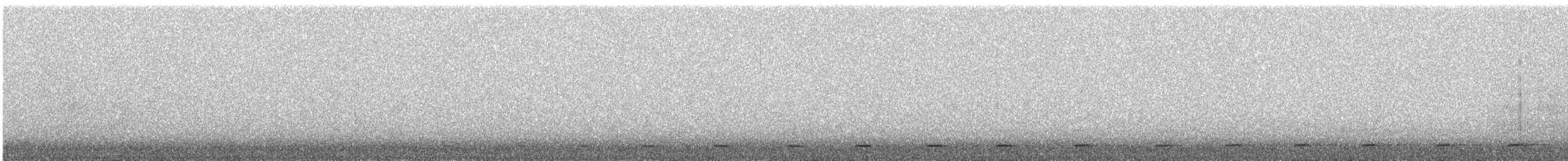 Northern Saw-whet Owl - ML632221947