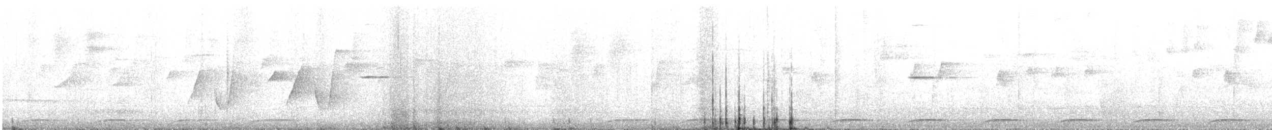Wonga Pigeon - ML632225874