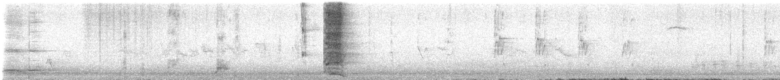 Yellow Wattlebird - ML632228411