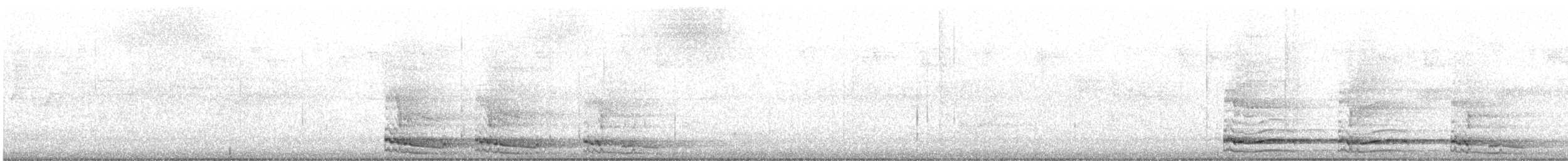 Pied Currawong - ML632230958