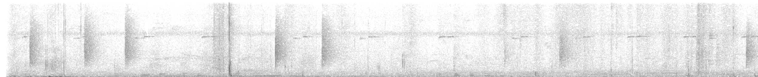 White-collared Manakin - ML632231591