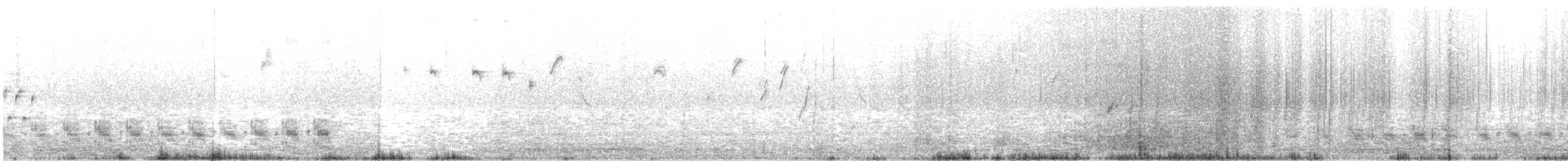 Cactus Wren - ML632232622