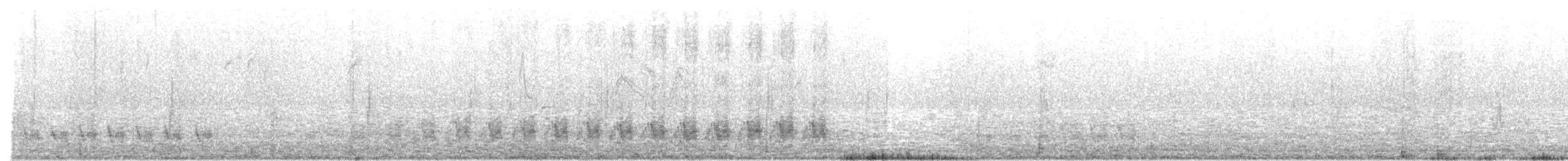 Cactus Wren - ML632233886