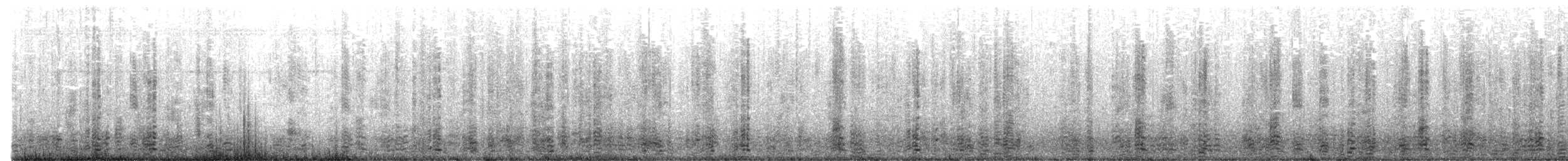 Barnacla Carinegra - ML632235363