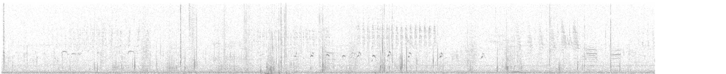 American Avocet - ML632235818