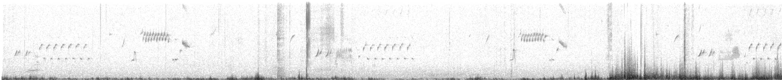 Black-throated Sparrow - ML632237418