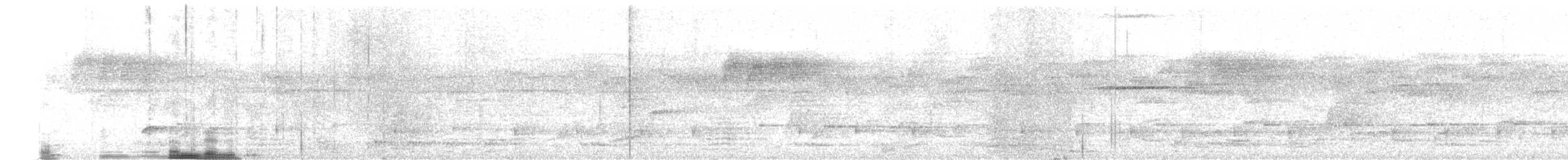 Cálao Gris Malabar - ML632248731