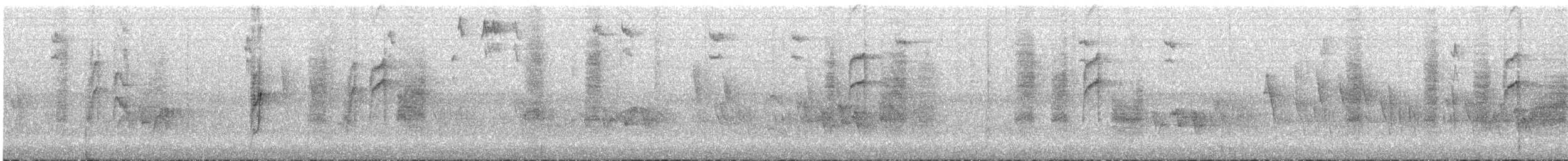 Gray Cuckooshrike - ML632249772