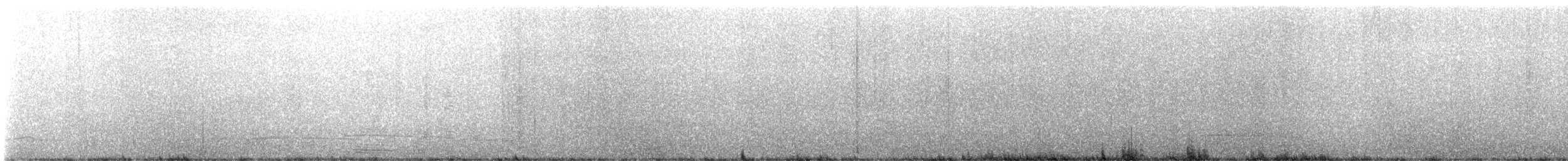 Black Scoter - ML632250709