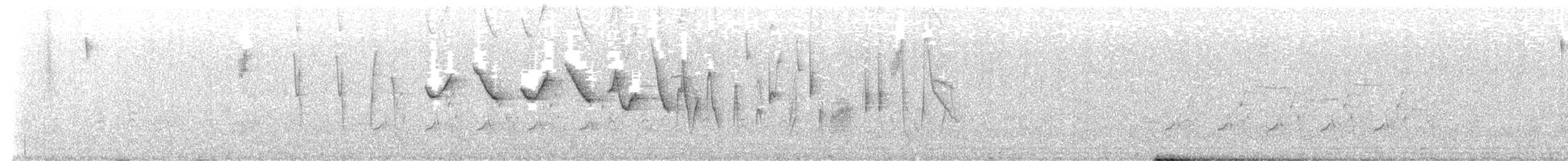 Paruline hochequeue - ML632251446